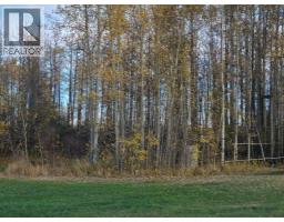 #13, 70539 Rr 250, Rural Greenview No  16, M D  Of, AB T0H3N0 Photo 22