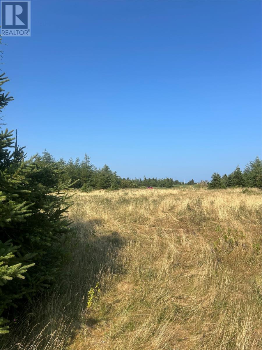 0 Beaver pond Road Road, Roaches Line — photo 3