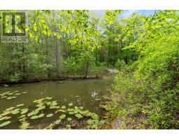 223 Ontario Street S, Lambton Shores, ON N0M1T0 Photo 44