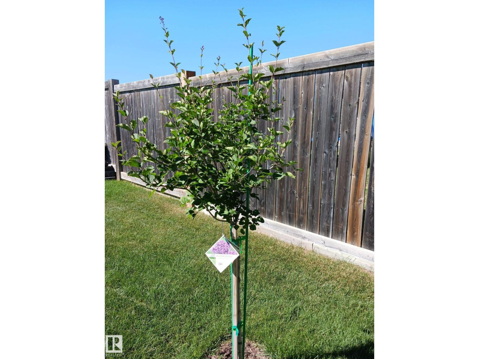 21 Beaverhill View Cr - 58
