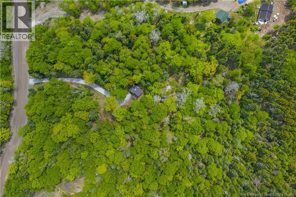 345 Ketchum Road - 20