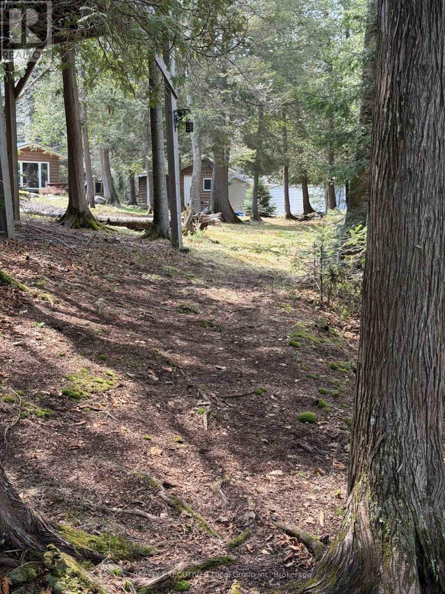 1504 HEMLOCK ISLAND - 20