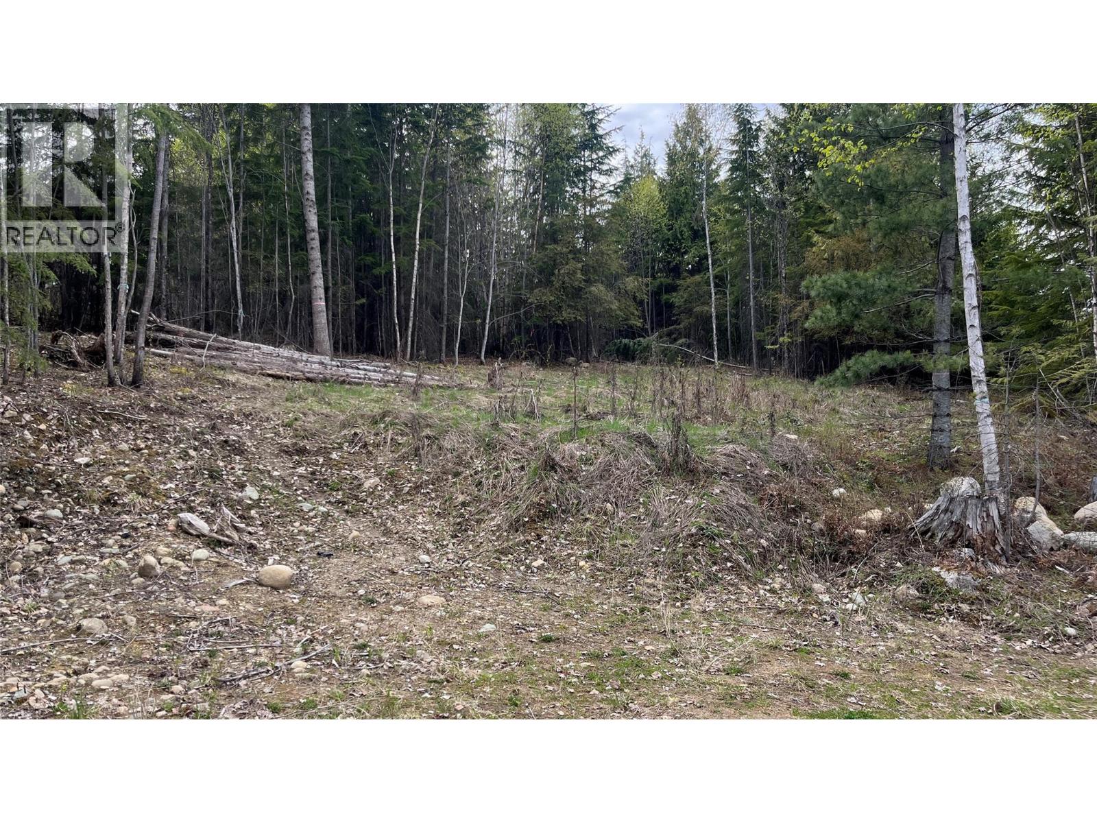 Lot 2 BALFOUR Avenue - photo 2