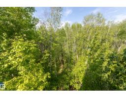 3-54227 Rge Road 275, Rural Sturgeon County, AB T8R1Y9 Photo 53