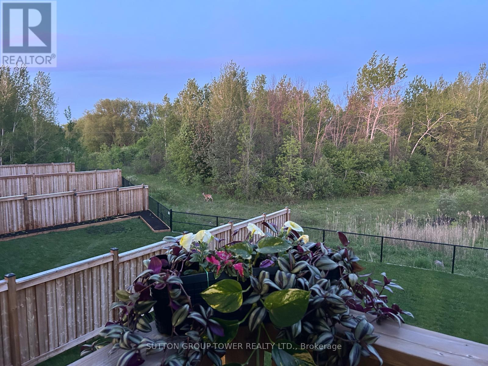 194 FERRAGINE CRESCENT - 49