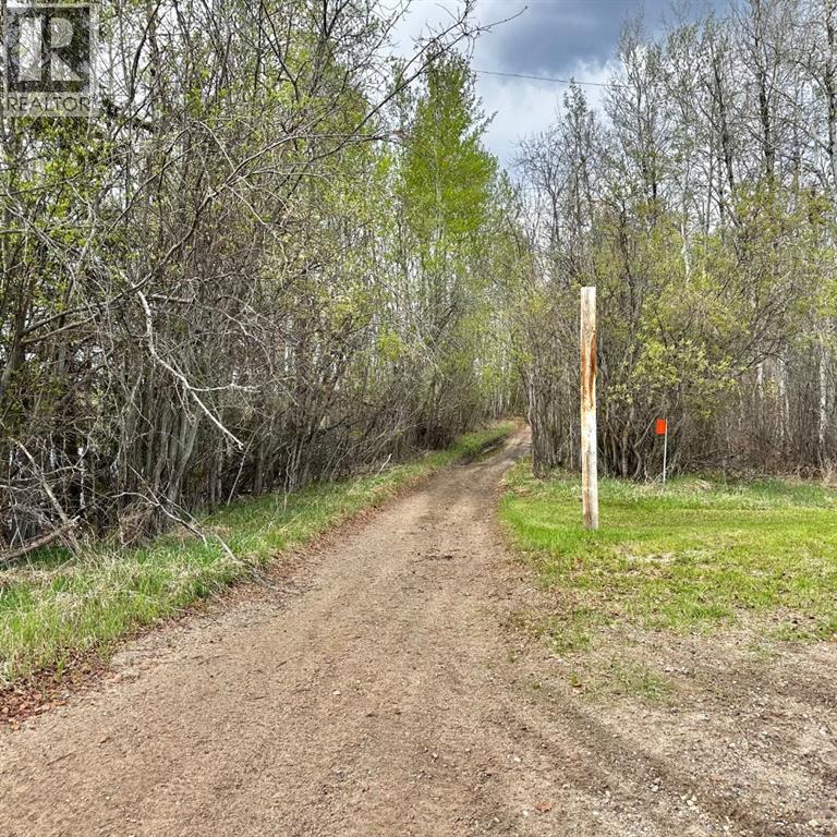 334 & 338, 14579 TWP RD 680 - 37