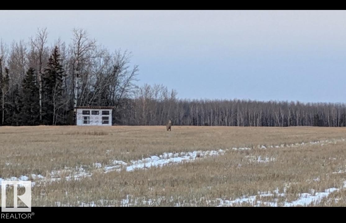 11029 TWP RD 680 — photo 20