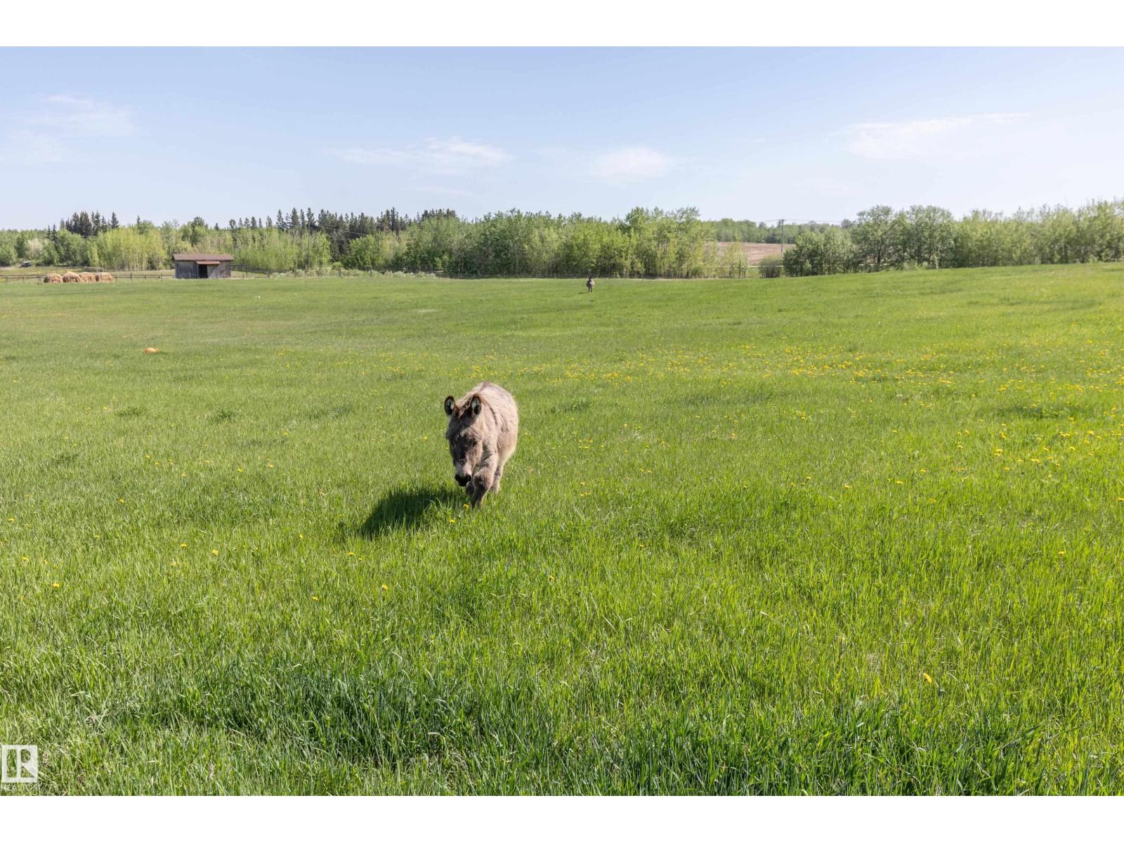 90 22111 TWP RD 510 - 60