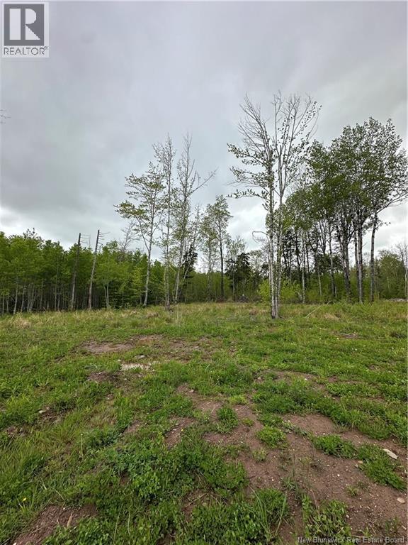 117 Alward Road - 4