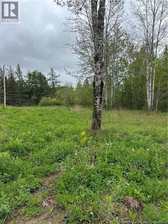 117 Alward Road - 5