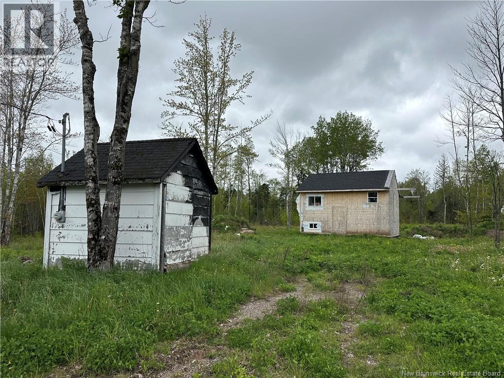 117 Alward Road - 6