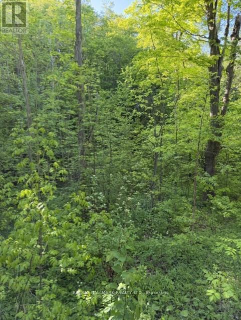 14728 HERITAGE ROAD - 49