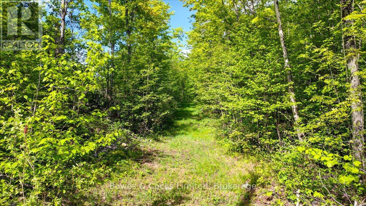 3463 COUNTY ROAD 44 - Image 3