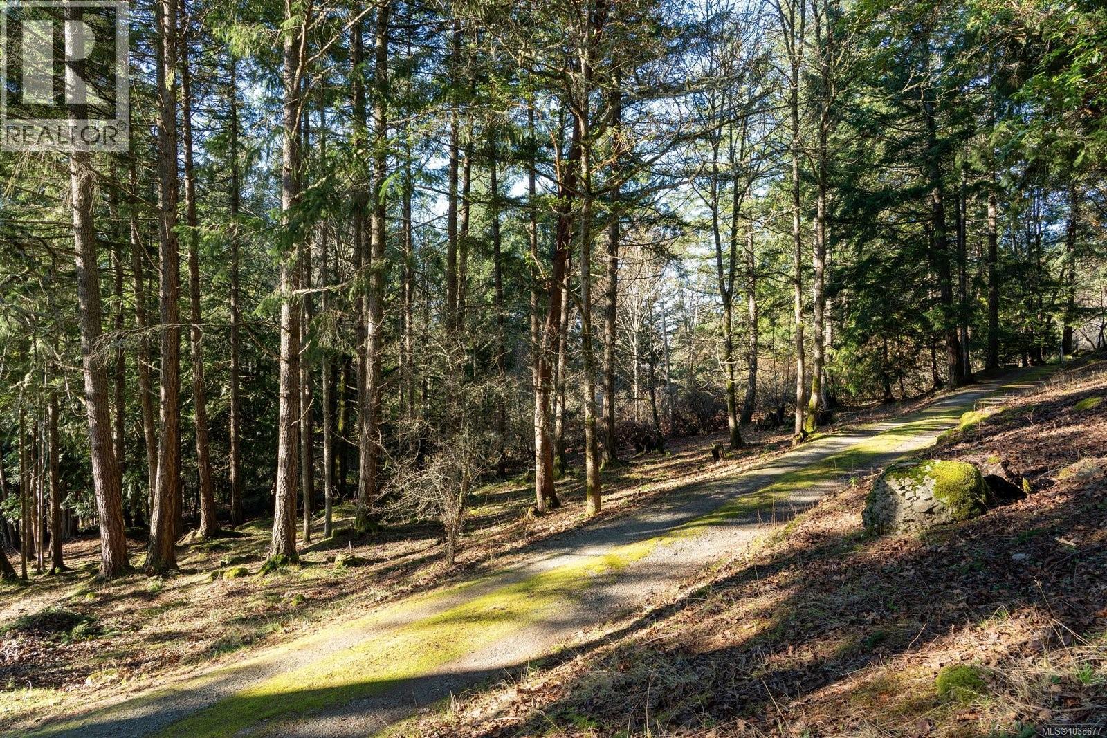 1183 Hillgrove Rd - 29