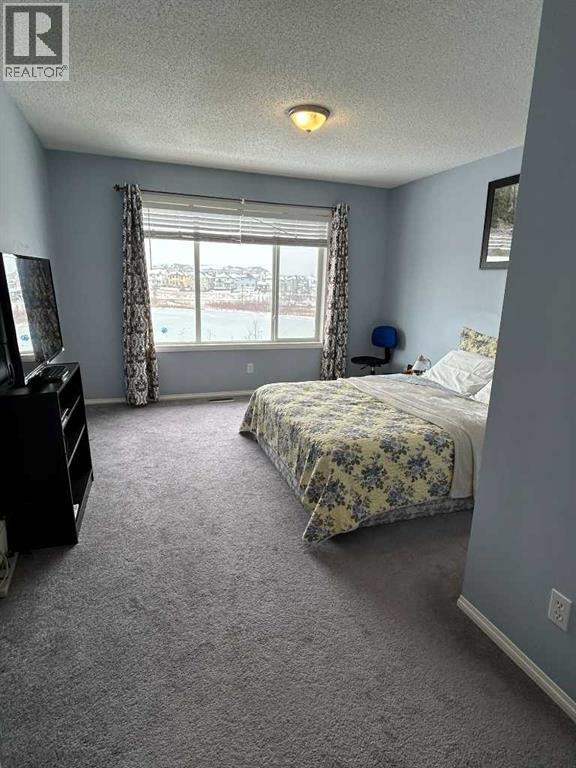 234 Saddlecreek Point NE - 23