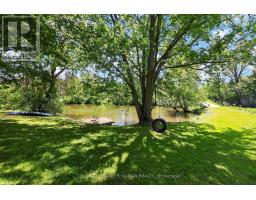 5565 5th Line, New Tecumseth, ON L0G1W0 Photo 44