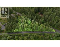 12540 Blue Mountain Crescent, Maple Ridge, BC V2W1N7 Photo 13