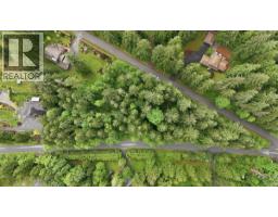 12540 Blue Mountain Crescent, Maple Ridge, BC V2W1N7 Photo 14