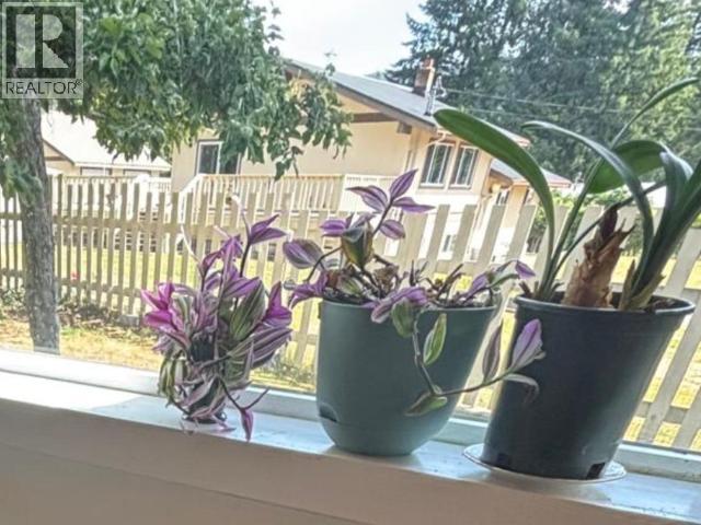 4321 SANDERSON ROAD - 9