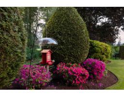 3733 Devonshire Drive, Surrey, BC V3Z0H8 Photo 37