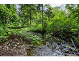4556 Charlie Spruce Place, Abbotsford, BC V3G2K9 Photo 35