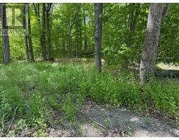 325 Cedar Sands Road, Rideau Lakes, ON K0E1N0 Photo 13