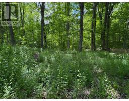 325 Cedar Sands Road, Rideau Lakes, ON K0E1N0 Photo 20