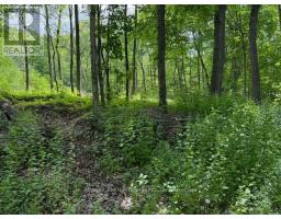 325 Cedar Sands Road, Rideau Lakes, ON K0E1N0 Photo 19