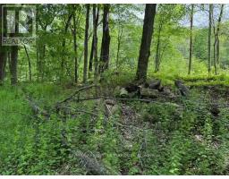 325 Cedar Sands Road, Rideau Lakes, ON K0E1N0 Photo 15