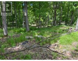 325 Cedar Sands Road, Rideau Lakes, ON K0E1N0 Photo 16