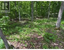 325 Cedar Sands Road, Rideau Lakes, ON K0E1N0 Photo 25