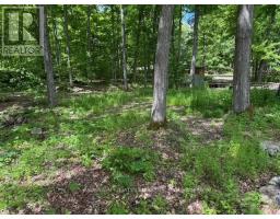 325 Cedar Sands Road, Rideau Lakes, ON K0E1N0 Photo 11