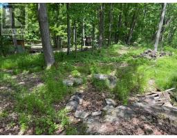 325 Cedar Sands Road, Rideau Lakes, ON K0E1N0 Photo 26