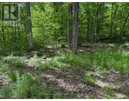 325 Cedar Sands Road, Rideau Lakes, ON K0E1N0 Photo 10