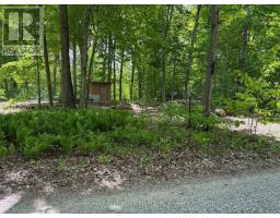 325 Cedar Sands Road, Rideau Lakes, ON K0E1N0 Photo 9