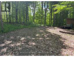 325 Cedar Sands Road, Rideau Lakes, ON K0E1N0 Photo 12