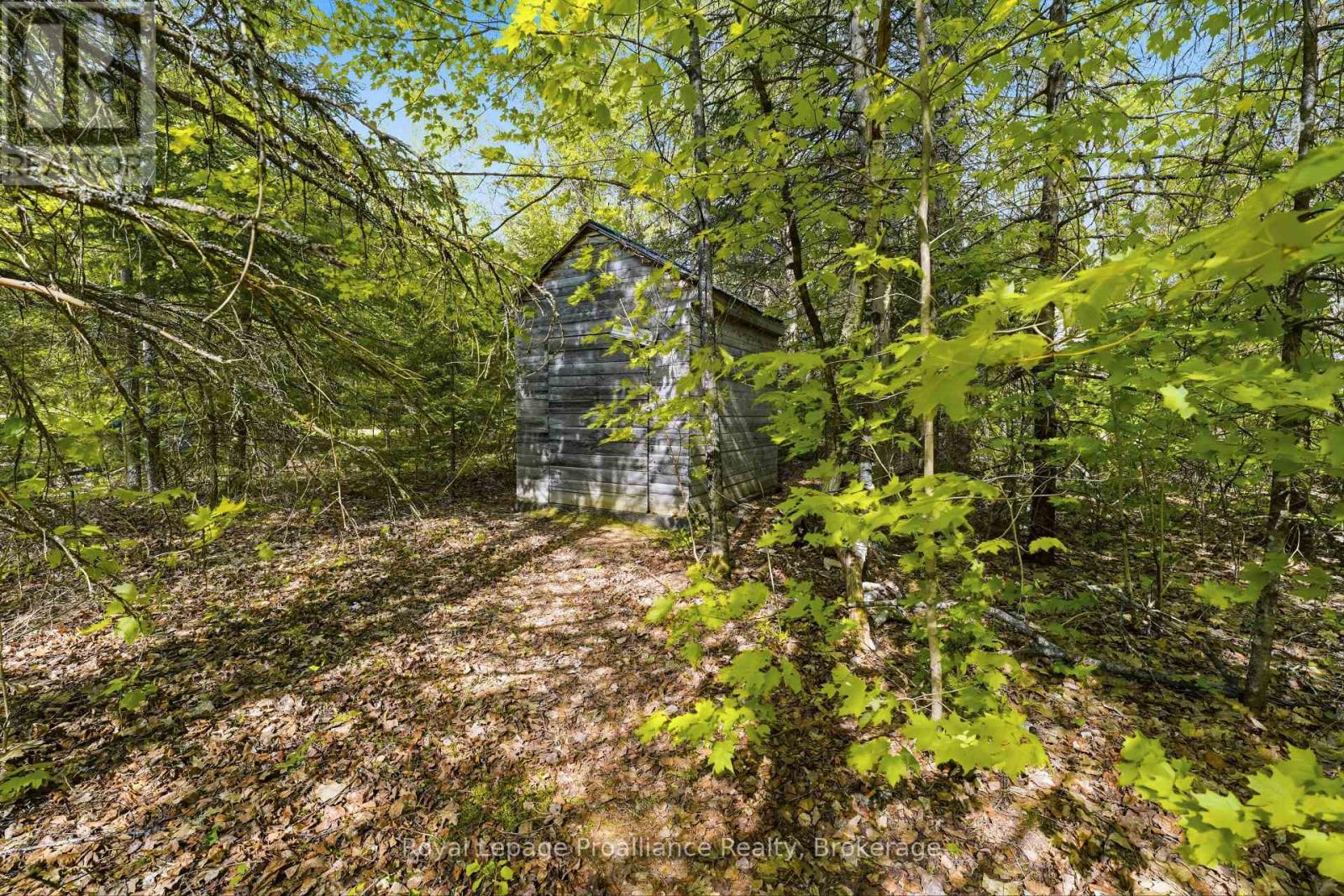 339 LITTLE FINCH LAKE ROAD - 35