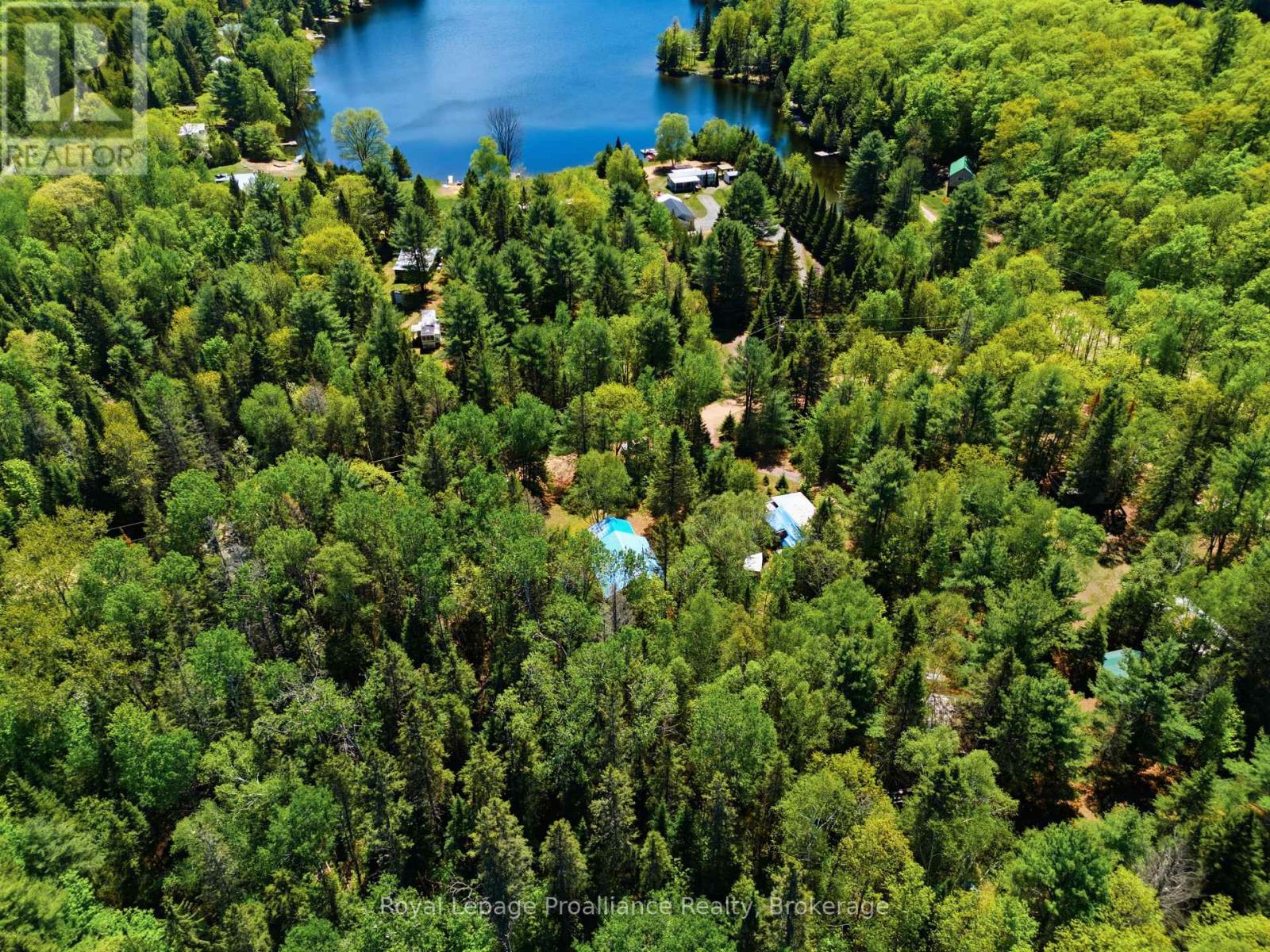 339 LITTLE FINCH LAKE ROAD - 40