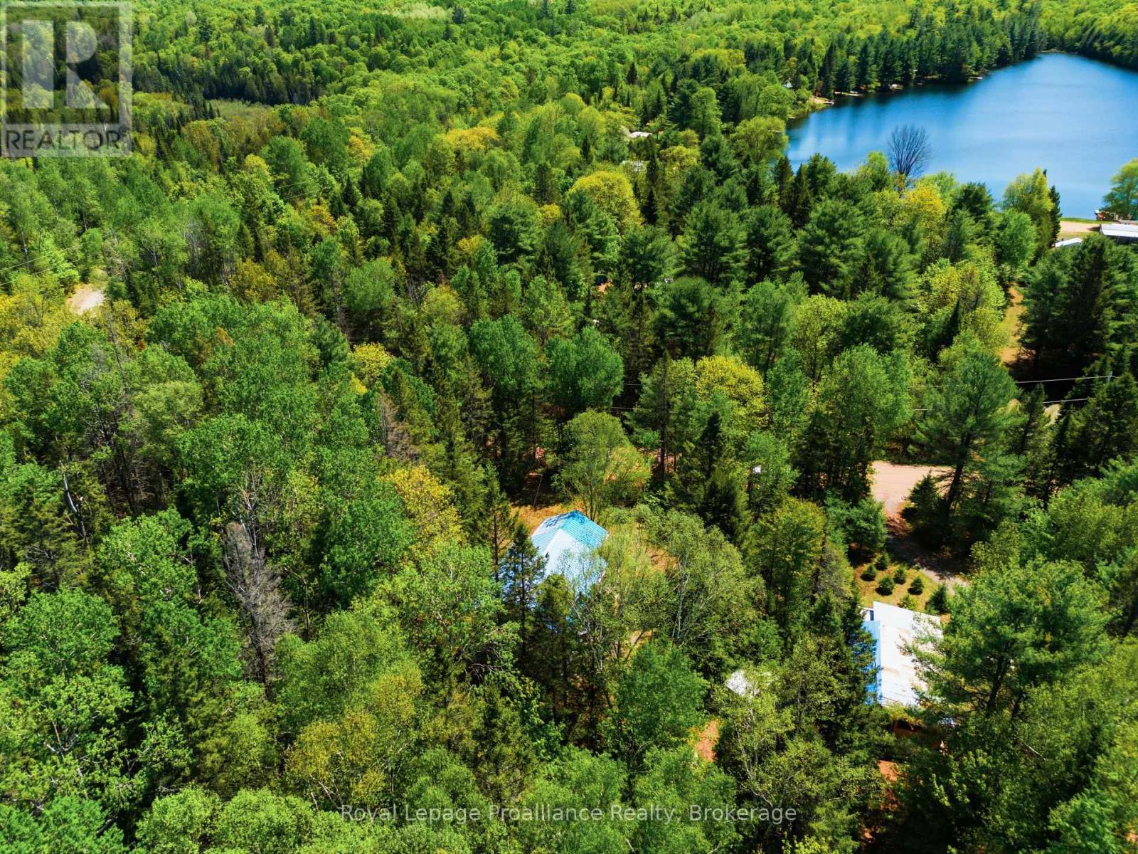 339 LITTLE FINCH LAKE ROAD - 41