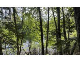 Highway 31 Lot# 5, Fletcher Creek, BC V0G1M0 Photo 7