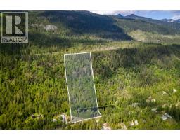 Highway 31 Lot# 5, Fletcher Creek, BC V0G1M0 Photo 11