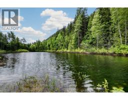 Highway 31 Lot# 5, Fletcher Creek, BC V0G1M0 Photo 12
