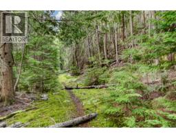 Highway 31 Lot# 5, Fletcher Creek, BC V0G1M0 Photo 16