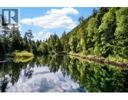 Highway 31 Lot# 5, Fletcher Creek, BC V0G1M0 Photo 20