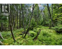 Highway 31 Lot# 5, Fletcher Creek, BC V0G1M0 Photo 19