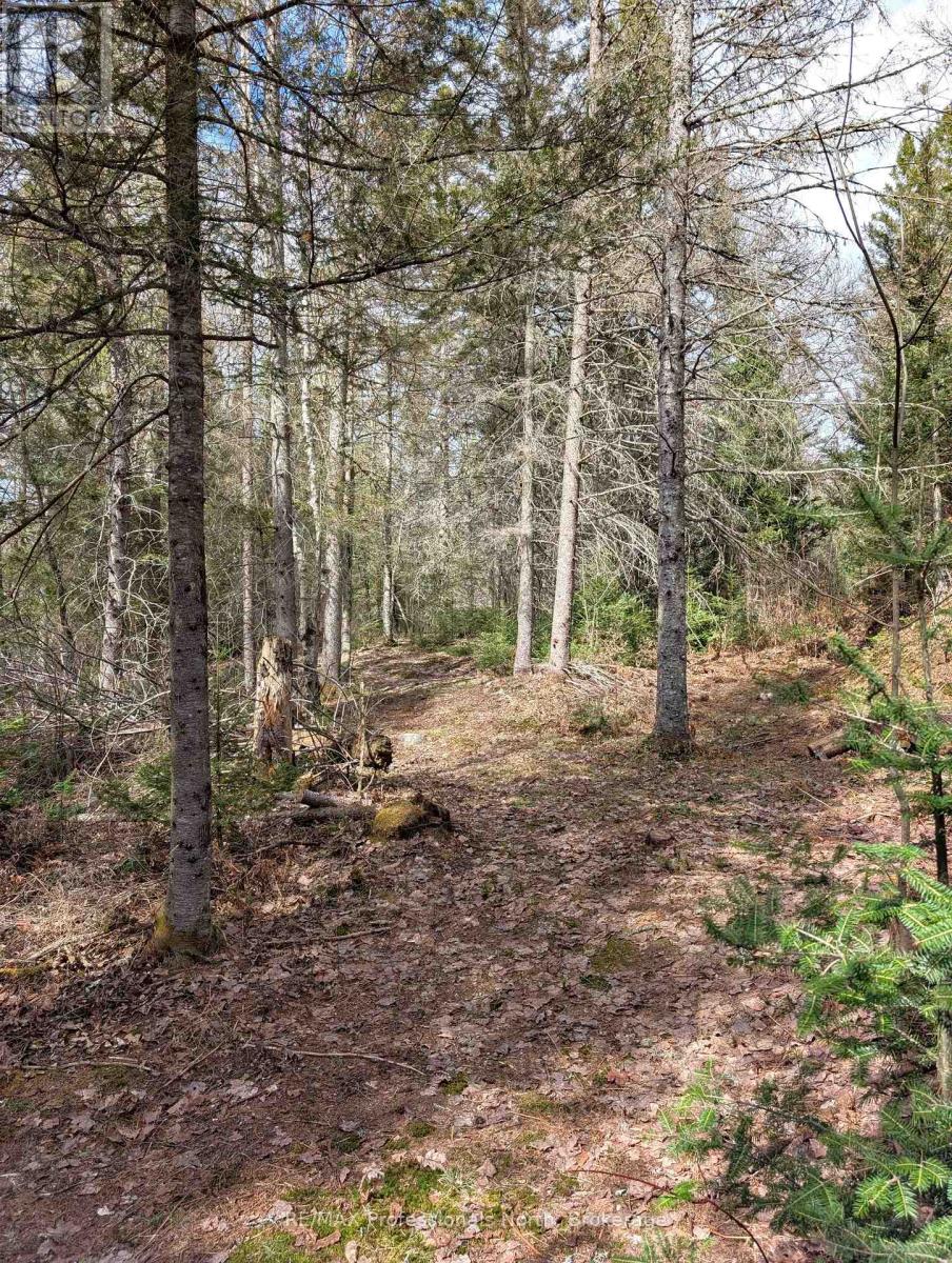 3785A EAGLE LAKE ROAD - 32