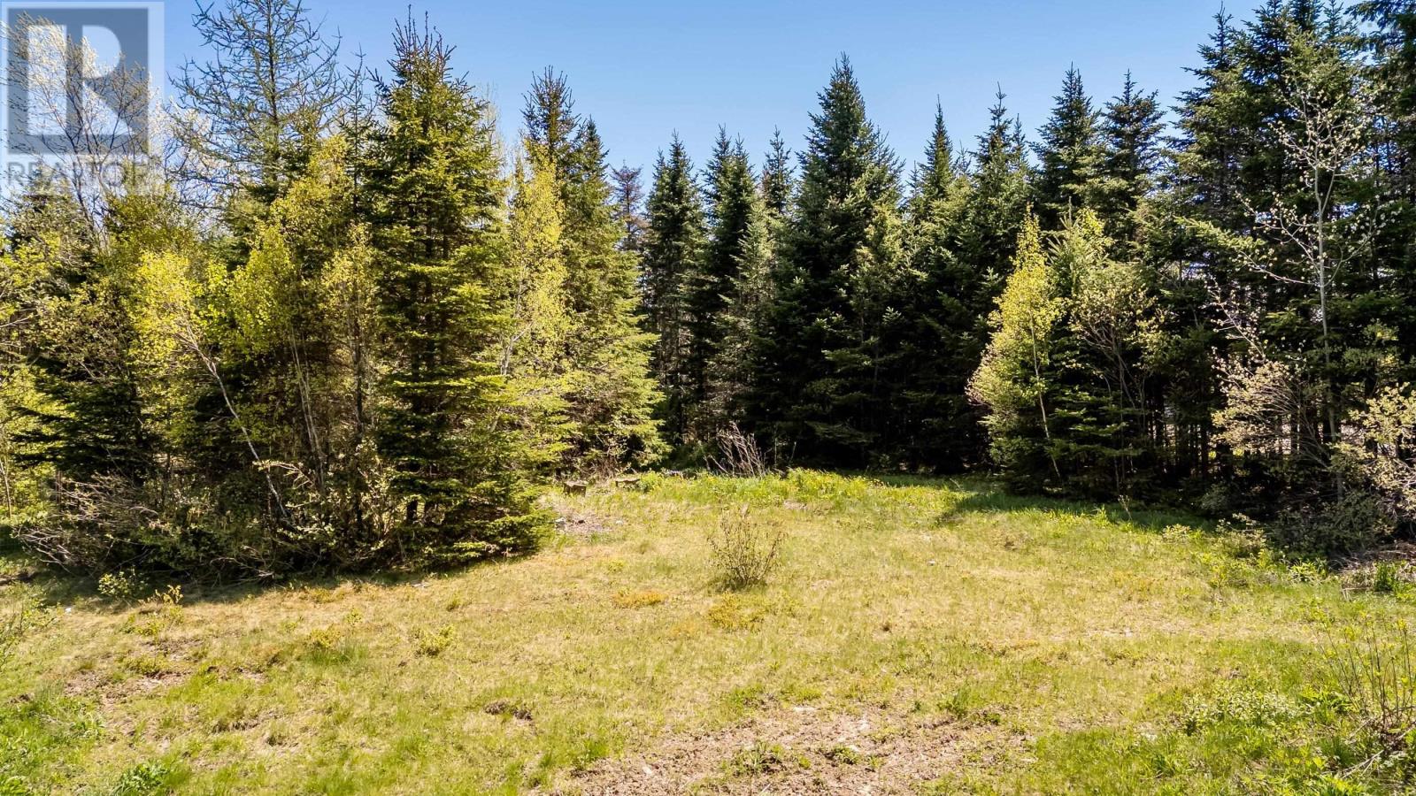 808 Newtonville Road - 5