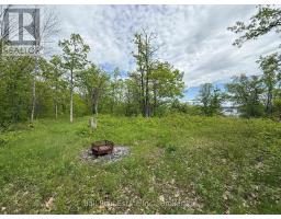 N/a Northey's Bay Road, North Kawartha, ON K0L2H0 Photo 12
