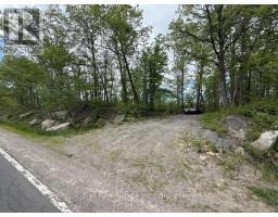 N/a Northey's Bay Road, North Kawartha, ON K0L2H0 Photo 11