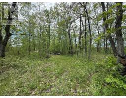 N/a Northey's Bay Road, North Kawartha, ON K0L2H0 Photo 13